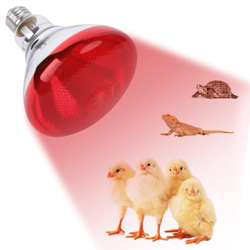 REPTI HOME Lampe chauffante reptile terrarium 250W lumière rouge pour poulet E27 lampe chauffante infrarouge pour poulets chiens porcs mammifères