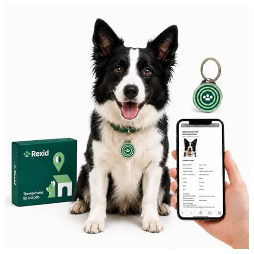 RexID Dog Tag Green Round QR Code Pet ID Tags with Pet Online Profile and Owner Contact,Smart Permanent ID Tag for Connecting Pet Owner Immediately by Anybody Anywhere with Mobile Phone(Round, M)