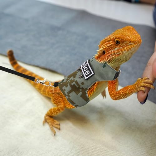 Correa de lagarto ajustable para pasear en el jardín y exteriores 8