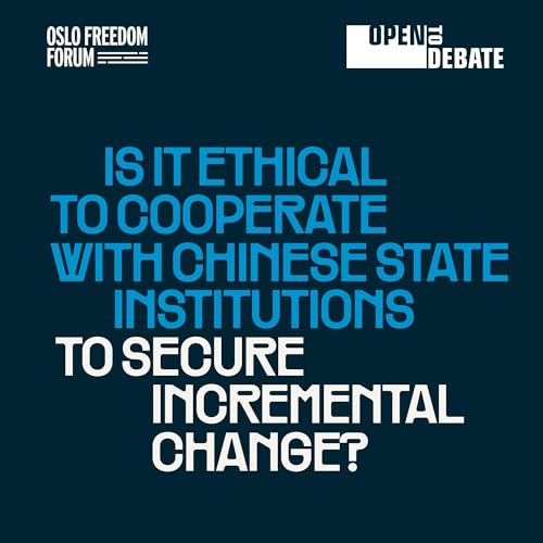 Is It Ethical To Cooperate With Chinese State Institutions To Secure Incremental Change?