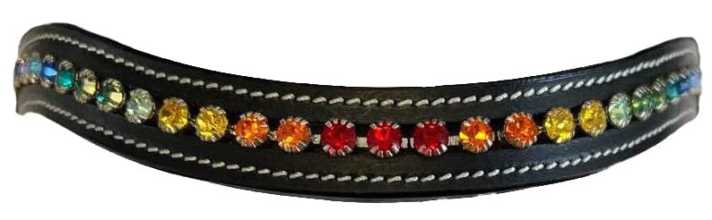 Equitem Rainbow Crystal Bling Wave Leather English Browband (Cob 15