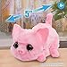 furReal My Minis Piglet, Kids Toys for Ages 4 Up by Just Play