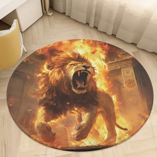 Tapete de terciopelo antideslizante Lion And Thunder para proteger suelos delicados 7