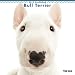 The Dog Wall Calendar 2019 Bull Terrier