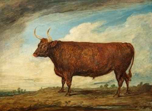 Tableau le Devonshire Ox par Ward image sur toile de décoration murale 60x90cm