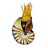 Ornement d'aquarium : décoration de maison de style méditerranéen, décorations d'aquarium