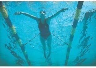 Stretch Cordz Stationary Swim Trainer, Green