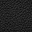 Black Leather
