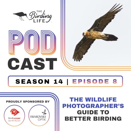 TBL Podcast - Season 14 Episode 8 - The Wildlife Photographer's Guide to Better Birding