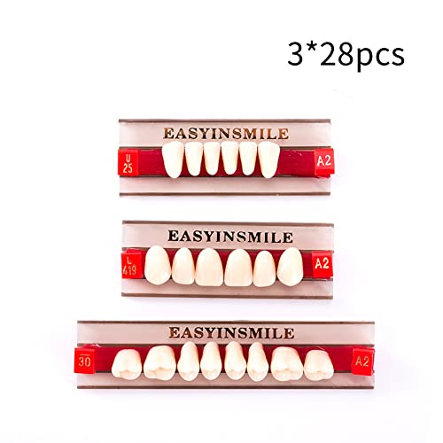 Image of Easyinsmile Dental Synthetic Resin Teeth A2 A3 False Upper Lower Teeth Replacement Dentures for Halloween (A2, Full Set 419+U25+30)
