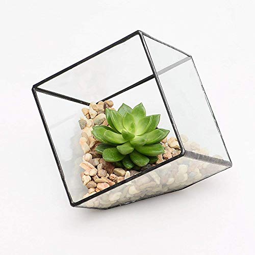 Heqianqian Terrariums Cube Succulent Plant Verre Terrarium Verre Clair géométrique for Succulent Plantes Air Mariage Table Basse Artisanat Décoratif (Color : Black, Size : 15X15X15CM)