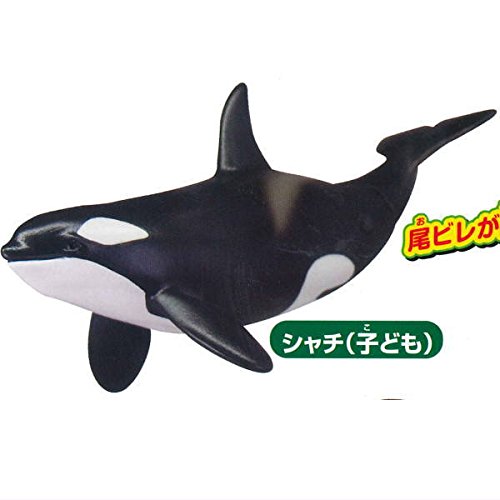 Amazon | カプセルアニア PART5 ［1.シャチ(子ども)］(単品