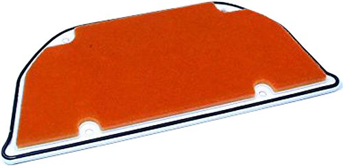 Filtre à air Hiflo Hfa2905 pour moteur de moto et scooter