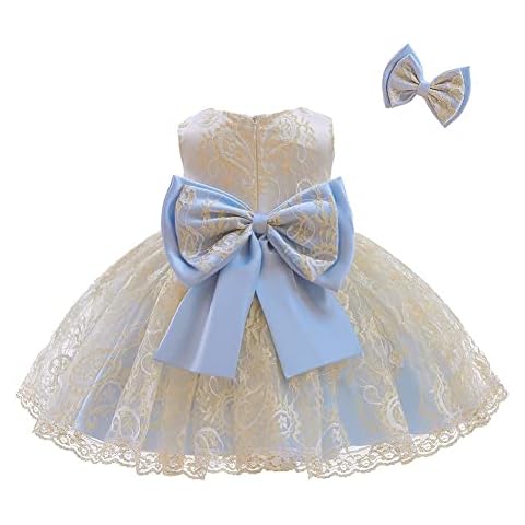 HOIZOSG Baby Bowknot Embroidery Lace Tulle Dress Little Girls Birthday Pageant Wedding Xmas Party Tutu Gown w/Hair Clip Sky Blue 0-3M Cover
