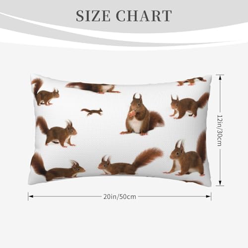 Housses de coussin écureuil lin | Rénovez votre canapé