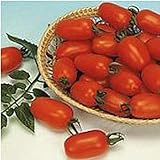 Juliet Tomato Seeds (25 Seed Packet) (More Heirloom, Non GMO, Vegetable, Fruit, Herb, Flower Garden...