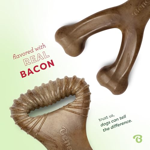 Image of Benebone 2-Count Wishbone /Dental Durable Dog Chew Toys, Real Bacon, Small (Pack of 10)