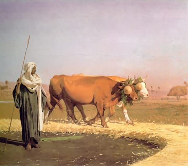 Toile Fouler le grain en Égypte pour remplacer vos cadres vides par une peinture de salon 60x90
