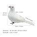 LWINGFLYER Large White Doves 9.5-Inch Artificial Simulation Foam Bird Feathered Dove for Craft Wedding Decoration Party Accessories Christmas Tree Ornaments (Big White Dove)