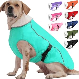 EMUST Dog Jacket Winter, Cozy Windproof Dog Jacket for Cold Weather, Solid Color Dog Vests for Winter for Medium Dogs, Turquoise, M