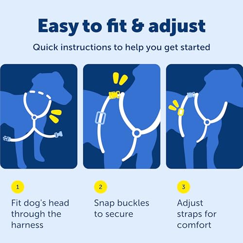 Image of PetSafe Plum 3-in-1 Harness, Small