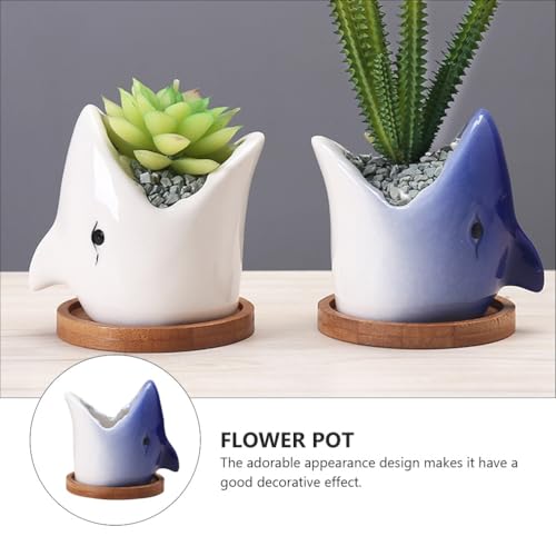 Pot de fleurs requin en céramique DOITOOL pour plantes succulentes - 3