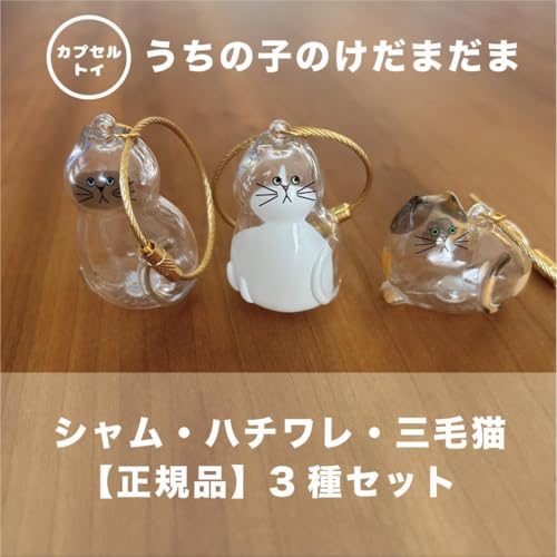 た*ろ様 けだまだま ガチャガチャ 4種セット けだまだま