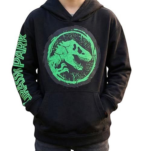 Jurassic Park Boys Pullover Hoodie Dinosaur Graphic Fleece Sweatshirt Sizes 6-20 Black