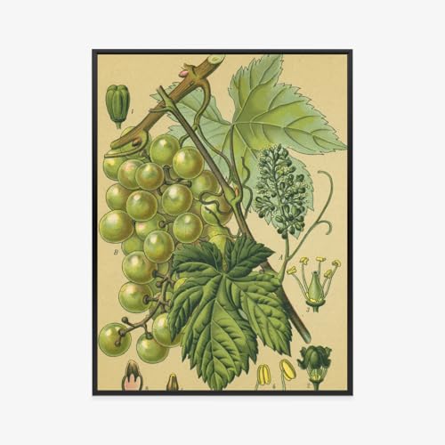 Impression artistique de raisins Wallero pour déco salon moderne