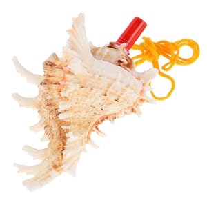 OFFIGAM Muschelhorn Musikinstrument mit Mundstück