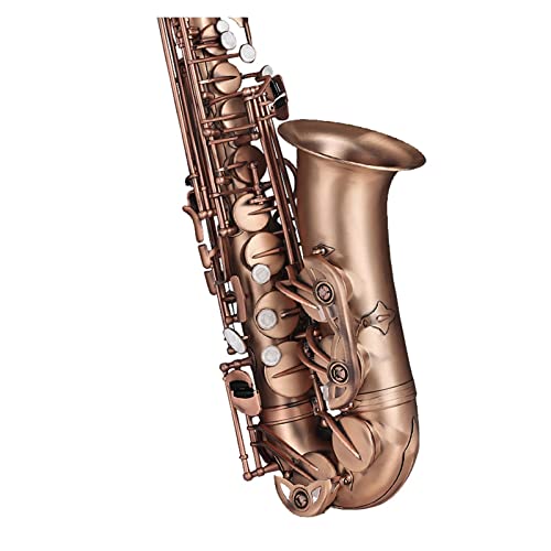 TSTS E-Flat Alto Saxophone Ǌy S҂ƑlɍœK Gg[x eXg ^J TbNX tLbg(J[: 7)
