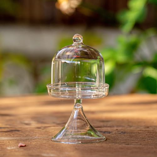 NCYP 7x7x12,8 cm Mini Cloche en Verre avec Support et Petit Pot de Fleurs en Acrylique pour Exposer Bijoux, Bagues, Petites Plantes, Décoration d'intérieur...