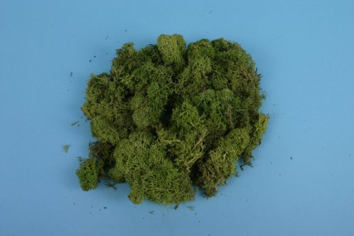 Gaugemaster GM164 Light Green Lichen (80g)
