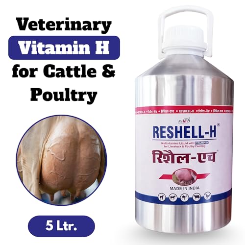 Image of REFIT ANIMAL CARE Veterinary Vitamin H Supplement for Cow, Cattle, Goat, Chicken, Layers, Broilers, Poultry and Other Livestock Animals, 5 LTR, Reshell H
