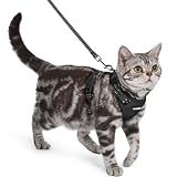 rabbitgoo Harnais pour Chat avec Laisse, Boucle de Cou, Noir, S