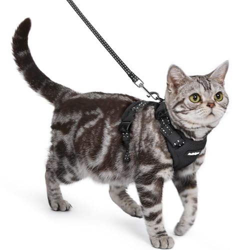 rabbitgoo Harnais pour Chat avec Laisse, Boucle de Cou, Noir, S
