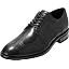 Wingtip Black