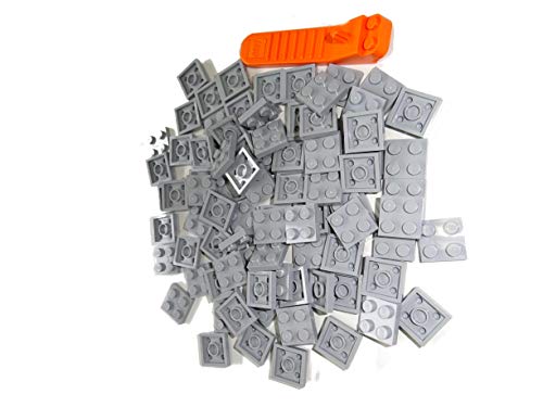 LEGO Classic 100 Pcs 2x2 Plate Building Set (3022) with Stone Separator (Light Grey), Hellgrau