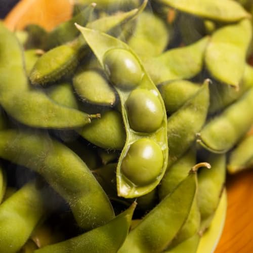先行予約[新潟県産]くろさき茶豆 [1.5kg] 2026年8月〜順次発送 ※ 必ず商品の説明にある「・注意事項」をご確認の上お申込ください。納期について、表示されている「無料配送 ●月●日-●日にお届け」とは異なりますのでご注意ください。