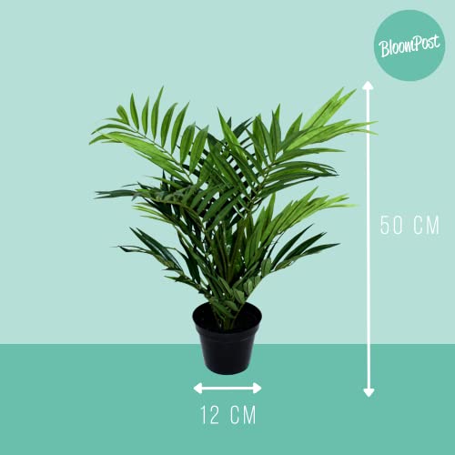 Palmera artificial Parlour de 50 cm para decoración del hogar 3