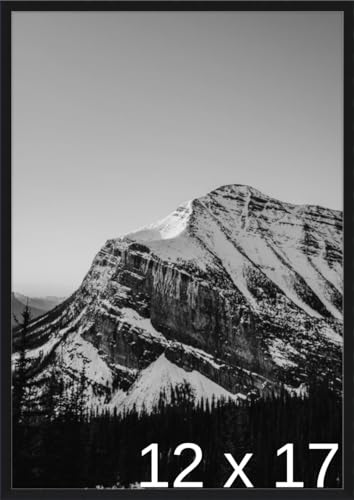 Frame It Easy 12 1/4 x 17 1/4 Satin Black Metal Frame (Ashford) 12.25x17.25 inches