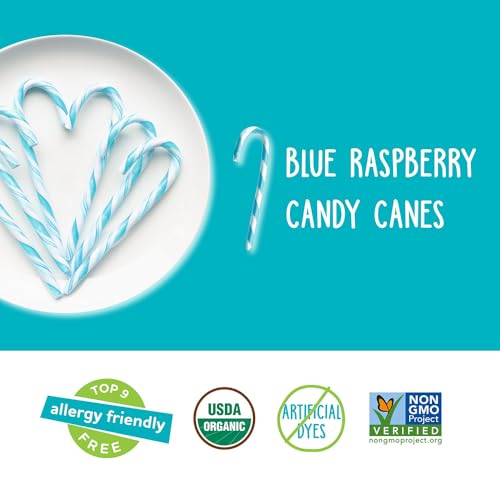 image for YumEarth Organic Candy Canes - Individually Wrapped Full Size Blue Ras