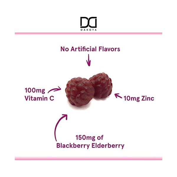 Sambucus-Elderberry-Gummies-with-Zinc-Vitamin-C-for-Adults-Kids-for-Black-Elderberry-Immune-Support-System-Vitamins-Elderberry-Extract-Supplements-Alternative-to-Capsules-Syrup-Pills-Tea-2-Pack Sambucus Elderberry Gummies with Zinc Vitamin C for Adults Kids for Black Elderberry Immune Support System Vitamins…