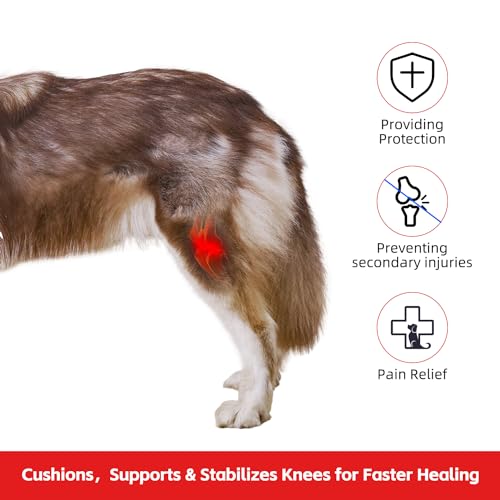 Image of Dog ACL Knee Brace, Dog Knee Brace for Torn ACL Hind Leg, Dog ACL Brace hind Leg, Dog Leg Braces for Back Leg, Dog Hip Brace, Cruciate Care Knee Brace for Dogs (Small)