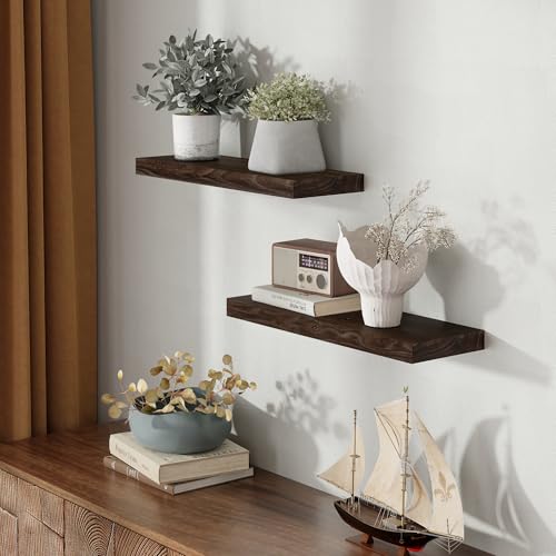 Image of Fun Memories 24 inch Elm Wood Floating Shelves for Wall, Walnut Finish, 2 Pack