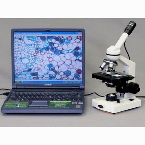 Image of AmScope M600B Compound Monocular Microscope, WF10x and WF20x Eyepieces, 40x-2000x Magnification, Brightfield, Tungsten Illumination, Abbe Condenser, Mechanical Stage, 110V