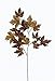 Produktbild GILDE Blätterzweig Ahorn aus Kunststoff · braun Höhe 88 cm Höhe 88,0 cm 56406