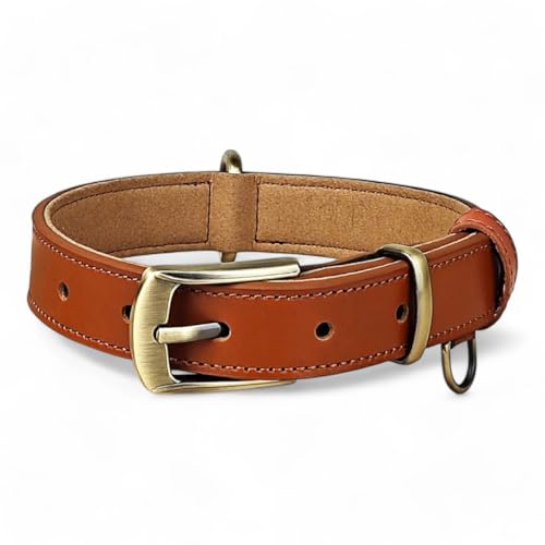 Beanspet p {v ^ ^ ^Ή y AeB[Nt U[J[ XG[hnt 6TCYWJ 5FIׂ x[VbNf (LuE, L)