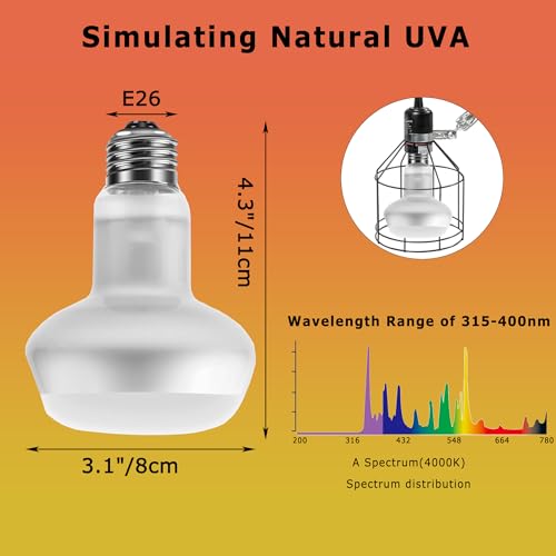Image of 60W Intense Basking Spot Lamp - UVA Daylight Heat Bulb for Reptiles and Amphibians, Simulates Natural Sunrise and Sunset, Ideal for Bearded Dragons, Snakes, Lizards & Chicks | 2 Pack