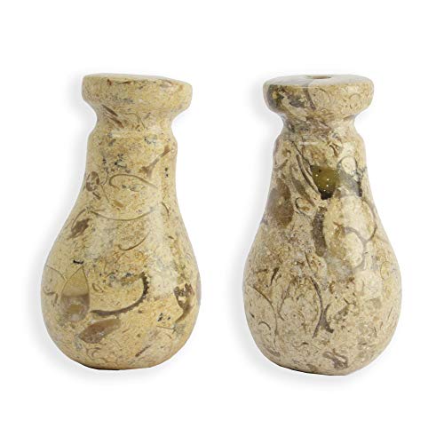 Himalayan Marble Light Pull (Beige Fossilstone - Pack of 2)